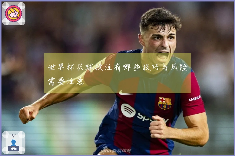 世界杯买球投注有哪些技巧与风险需要注意